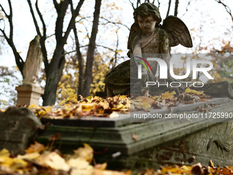 A view of the Rakowicki Cemetery a day ahead of the All Saints Day in Krakow, Poland on October 31, 2024. (