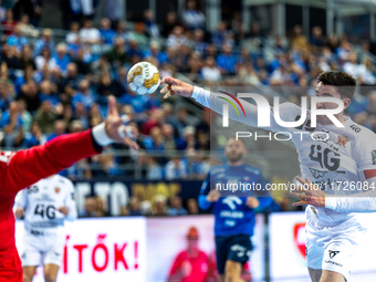 Ludovic Fabregas  is playing during the match EHF Champions League Men match between  Orlen Wisla Plock and Veszprem HC in Plock, Poland on...