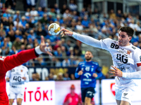 Ludovic Fabregas  is playing during the match EHF Champions League Men match between  Orlen Wisla Plock and Veszprem HC in Plock, Poland on...