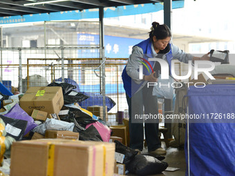 Staff sort parcels at the Fuyang distribution center of ZTO Express in Fuyang, China, on October 23, 2024. (