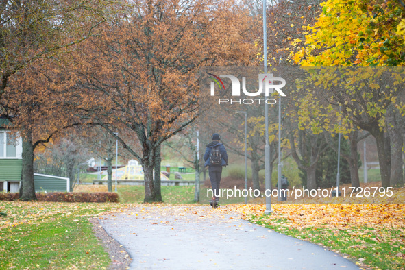 The picture shows trees changing color and preparing for winter in Linkoping, Sweden, on October 31, 2024. 