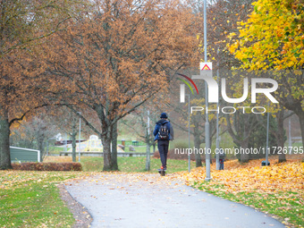 The picture shows trees changing color and preparing for winter in Linkoping, Sweden, on October 31, 2024. (