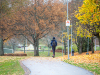 The picture shows trees changing color and preparing for winter in Linkoping, Sweden, on October 31, 2024. (