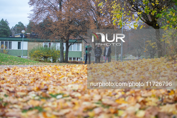 The picture shows trees changing color and preparing for winter in Linkoping, Sweden, on October 31, 2024. 