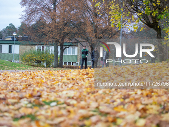 The picture shows trees changing color and preparing for winter in Linkoping, Sweden, on October 31, 2024. (