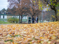 The picture shows trees changing color and preparing for winter in Linkoping, Sweden, on October 31, 2024. (