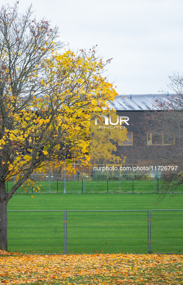 The picture shows trees changing color and preparing for winter in Linkoping, Sweden, on October 31, 2024. 