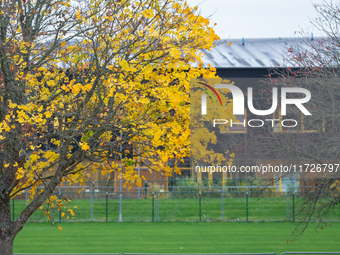 The picture shows trees changing color and preparing for winter in Linkoping, Sweden, on October 31, 2024. (