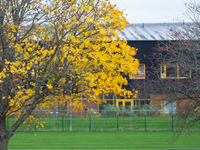 The picture shows trees changing color and preparing for winter in Linkoping, Sweden, on October 31, 2024. (