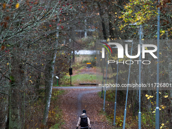 The picture shows trees changing color and preparing for winter in Linkoping, Sweden, on October 31, 2024. (