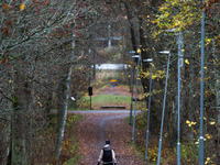 The picture shows trees changing color and preparing for winter in Linkoping, Sweden, on October 31, 2024. (