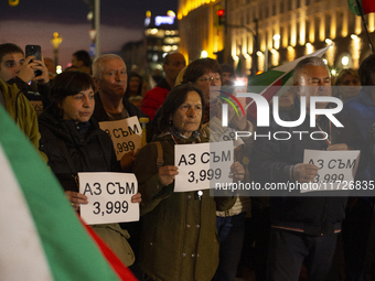 Supporters of the Velichie political party protest in front of the National Assembly building in Sofia, Bulgaria, on October 31, 2024. They...