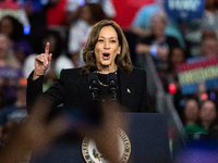 Vice President Kamala Harris speaks at a get out the vote rally in Harrisburg, PA, on October 30, 2024.  Harris and her running mate, Minnes...