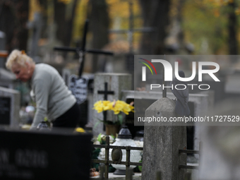 A crow is at the Rakowicki Cemetery during preparations for All Saints' Day in Krakow, Poland, on October 30, 2024. November 1 is celebrated...