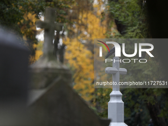 A hooded crow is at the Rakowicki Cemetery during preparations for All Saints' Day in Krakow, Poland, on October 30, 2024. November 1 is cel...