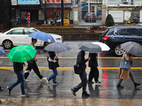 Pedestrians hold umbrellas as they walk on a street in Shanghai, China, on November 1, 2024. (