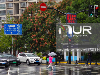 Pedestrians hold umbrellas as they walk on a street in Shanghai, China, on November 1, 2024. (