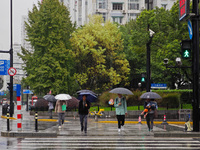 Pedestrians hold umbrellas as they walk on a street in Shanghai, China, on November 1, 2024. (