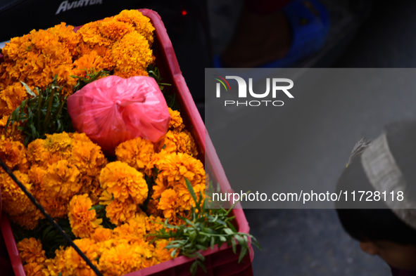 Young boys carry marigold flowers in baskets to sell in Kirtipur, Kathmandu, Nepal, on November 1, 2024. Tihar is a Hindu festival celebrate...