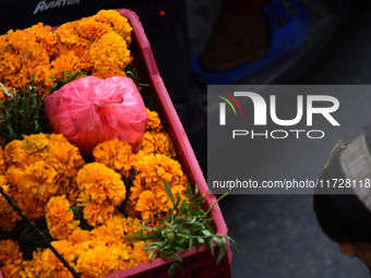 Young boys carry marigold flowers in baskets to sell in Kirtipur, Kathmandu, Nepal, on November 1, 2024. Tihar is a Hindu festival celebrate...