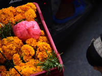 Young boys carry marigold flowers in baskets to sell in Kirtipur, Kathmandu, Nepal, on November 1, 2024. Tihar is a Hindu festival celebrate...