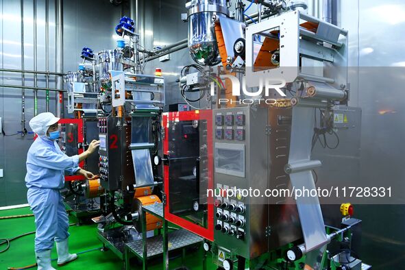 Workers increase product production at Qingdao Shanhai Household Products Co., LTD., Hongshiya Street, in Qingdao, China, on October 31, 202...