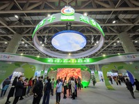 Visitors visit the 2024 Yantai International Food Industry Expo in Yantai, China, on November 1, 2024. (