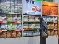 Visitors visit the 2024 Yantai International Food Industry Expo in Yantai, China, on November 1, 2024. (