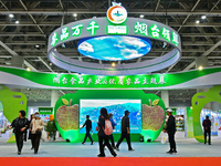 Visitors visit the Yantai International Food (Prepared Dishes) Industry Expo 2024 in Yantai, China, on November 1, 2024. (