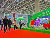 Visitors visit the Yantai International Food (Prepared Dishes) Industry Expo 2024 in Yantai, China, on November 1, 2024. (