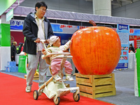 A visitor brings a child to the 2024 Yantai International Food (Prepared Dishes) Industry Expo in Yantai, China, on November 1, 2024. (