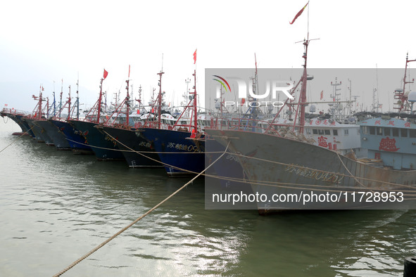 A large number of fishing boats berth in the harbor to take shelter from Typhoon Kong-Rey at the Liandao Central fishing port in Lianyungang...