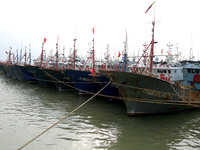 A large number of fishing boats berth in the harbor to take shelter from Typhoon Kong-Rey at the Liandao Central fishing port in Lianyungang...