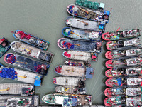 A large number of fishing boats berth in the harbor to take shelter from Typhoon Kong-Rey at the Liandao Central fishing port in Lianyungang...