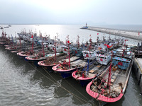 A large number of fishing boats berth in the harbor to take shelter from Typhoon Kong-Rey at the Liandao Central fishing port in Lianyungang...