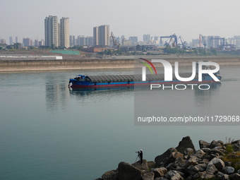 A Yangtze finless porpoise plays in the water downstream of Gezhouba No. 1 lock of the Yangtze River in Yichang, Hubei province, China, on N...