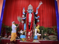 A Hindu priest, C, performs rituals while he prays in front of an idol of the Hindu goddess Kali inside a ''pandal,'' a decorated temporary...