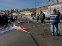 Two thresher shark specimens are found stranded and lifeless on the seashore near Lido La Scala in Torre del Greco, Naples, on November 1. C...