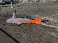 Two thresher shark specimens are found stranded and lifeless on the seashore near Lido La Scala in Torre del Greco, Naples, on November 1. C...