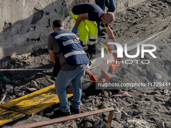 Two thresher shark specimens are found stranded and lifeless on the seashore near Lido La Scala in Torre del Greco, Naples, on November 1. C...