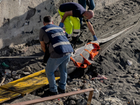 Two thresher shark specimens are found stranded and lifeless on the seashore near Lido La Scala in Torre del Greco, Naples, on November 1. C...