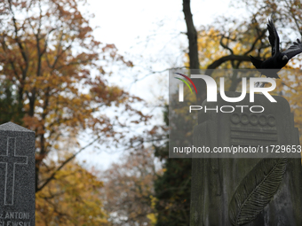 A crow is at the Rakowicki Cemetery during preparations for All Saints' Day in Krakow, Poland, on October 30, 2024. November 1 is celebrated...