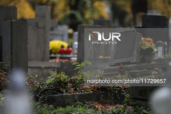 Rakowicki Cemetery undergoes preparations for All Saints' Day in Krakow, Poland, on October 30, 2024. November 1 is celebrated in Catholicis...