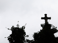 Rakowicki Cemetery undergoes preparations for All Saints' Day in Krakow, Poland, on October 30, 2024. November 1 is celebrated in Catholicis...