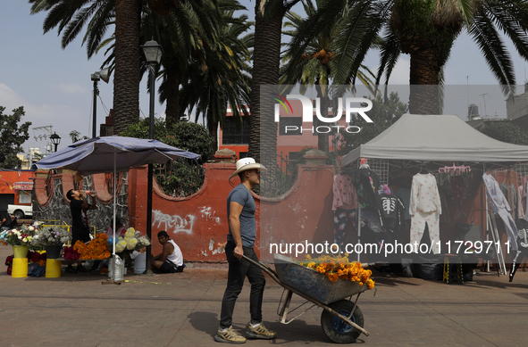 A resident of Santiago Zapotitlan in Mexico City, Mexico, on November 1, 2024, carries flowers to the community cemetery where dozens of peo...