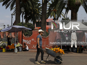 A resident of Santiago Zapotitlan in Mexico City, Mexico, on November 1, 2024, carries flowers to the community cemetery where dozens of peo...