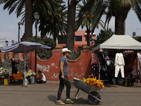 A resident of Santiago Zapotitlan in Mexico City, Mexico, on November 1, 2024, carries flowers to the community cemetery where dozens of peo...