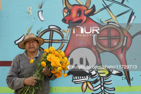 A resident of Santiago Zapotitlan in Mexico City holds flowers in front of a mural on November 1, 2024, and heads towards the community ceme...