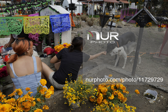 Residents of Santiago Zapotitlan in Mexico City, Mexico, on November 1, 2024, attend the old cemetery to decorate the graves of their deceas...