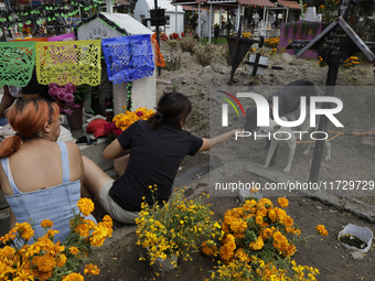 Residents of Santiago Zapotitlan in Mexico City, Mexico, on November 1, 2024, attend the old cemetery to decorate the graves of their deceas...